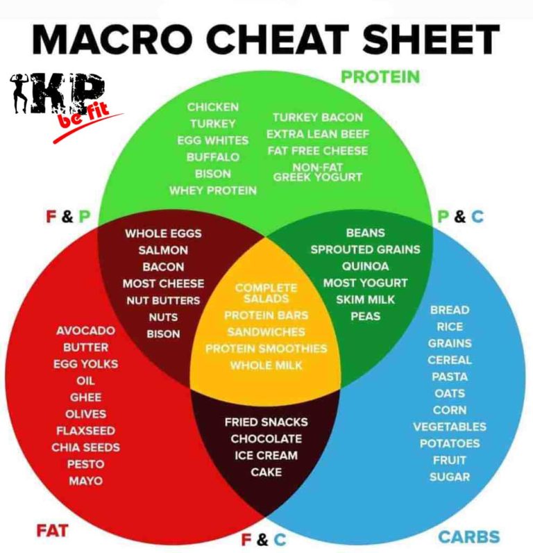 meal planner based on macros